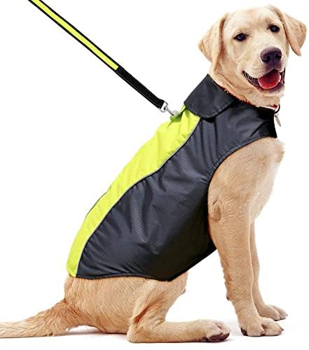 dog jackets