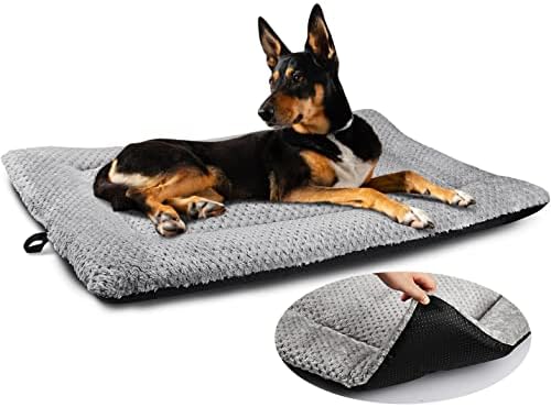 dog beds