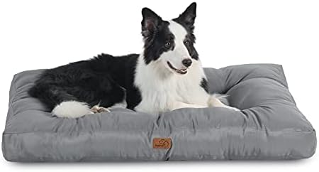 dog beds