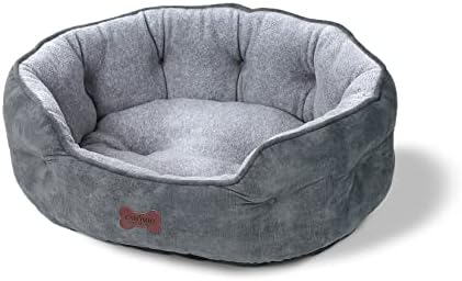 dog beds