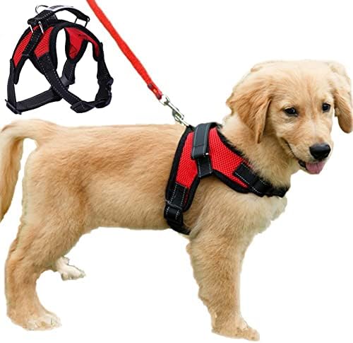 dog harness