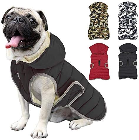 dog jackets