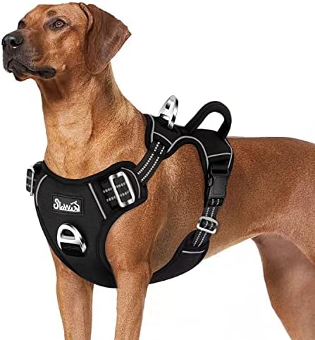 dog harness