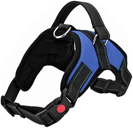 dog harness