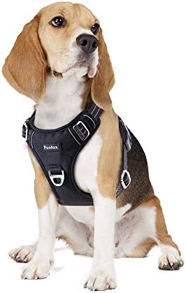 dog harness