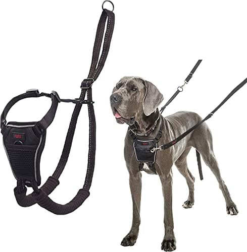 dog harness