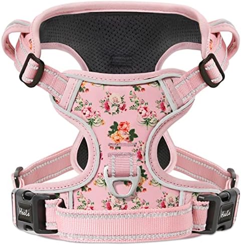 dog harness