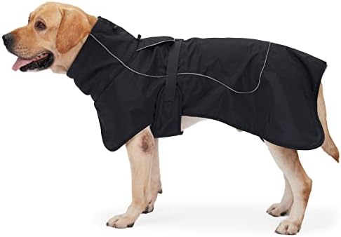 dog jackets