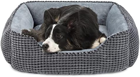 dog beds