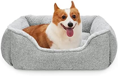 dog beds