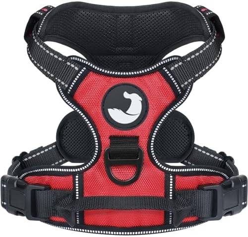 dog harness