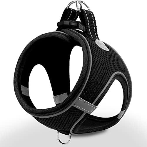 dog harness