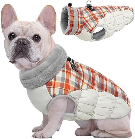 dog jackets