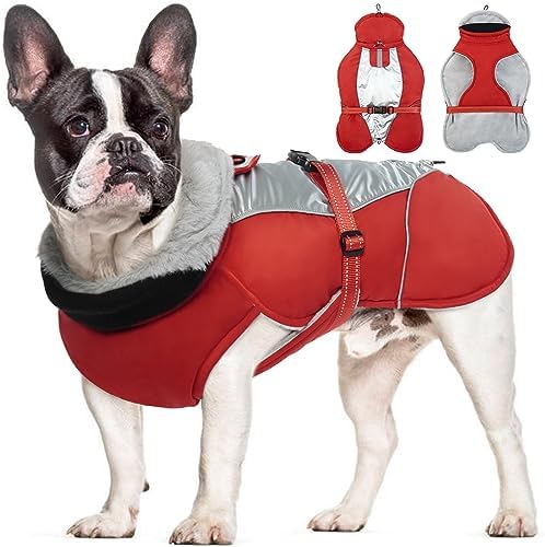 dog jackets