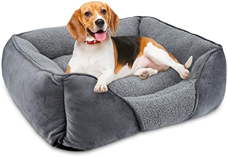 dog beds