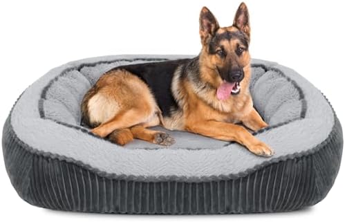 dog beds