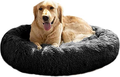 dog beds