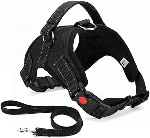 dog harness