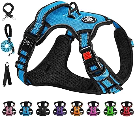 dog harness