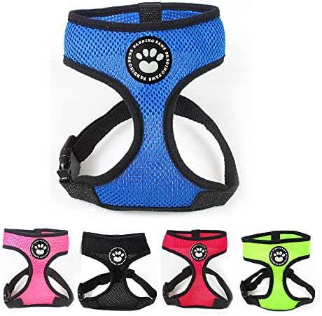 dog harness