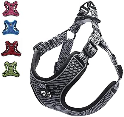 dog harness