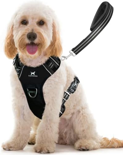 dog harness