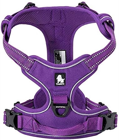 dog harness