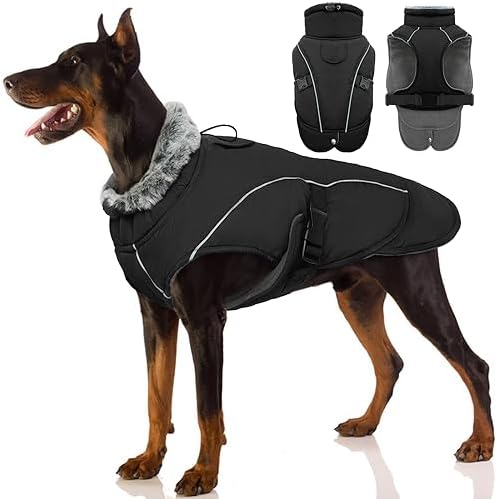 dog jackets