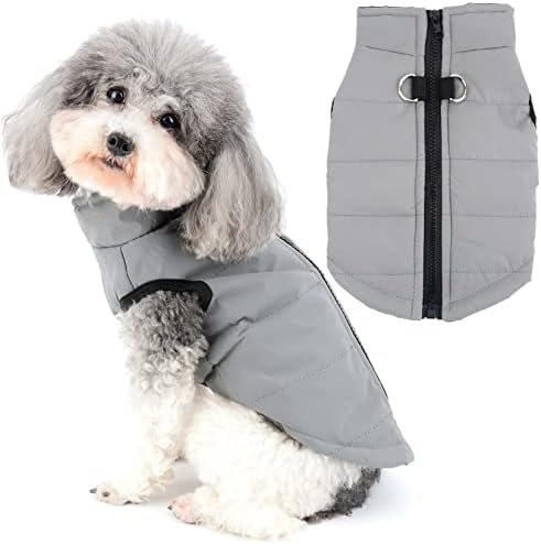 dog jackets