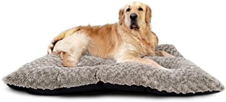 dog beds