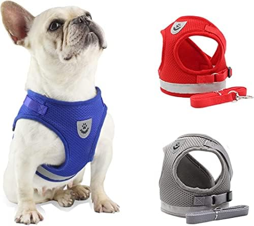 dog harness