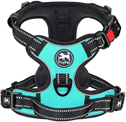 dog harness