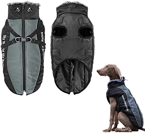 dog jackets