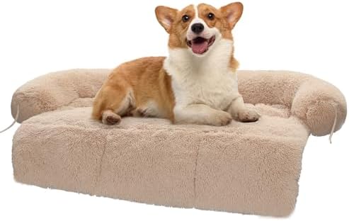 dog beds