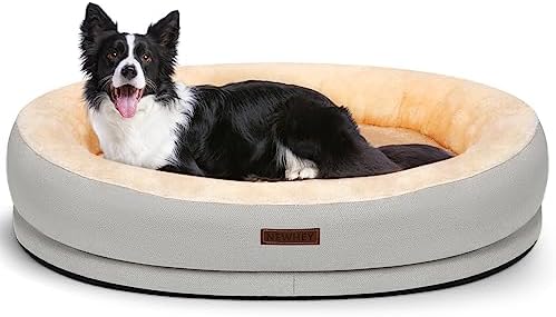 dog beds