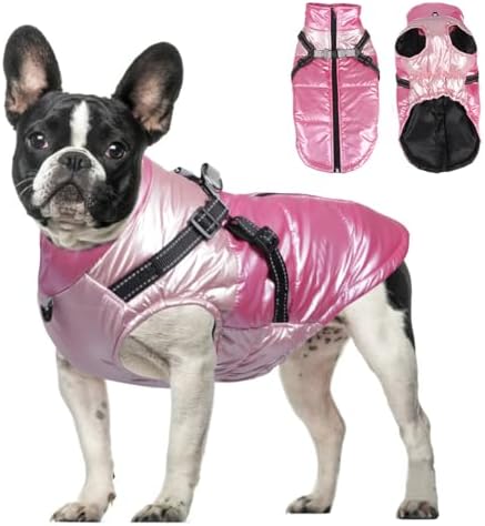 dog jackets