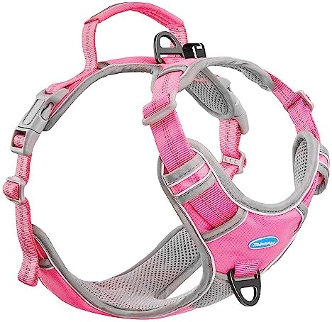 dog harness