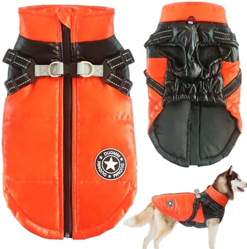 dog jackets