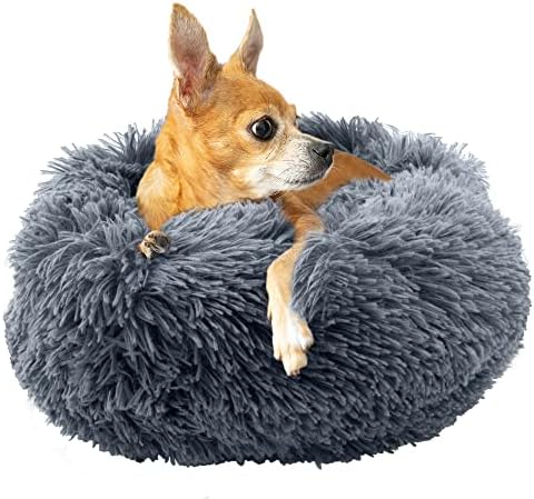 dog beds