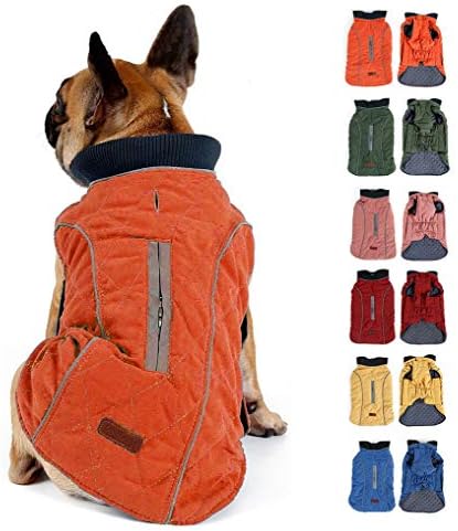 dog jackets