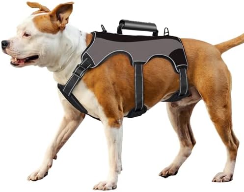 dog harness