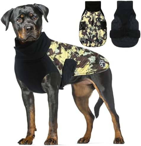 dog jackets