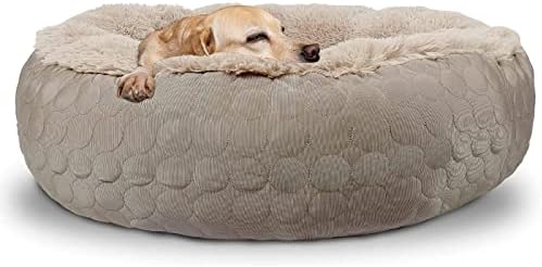 dog beds