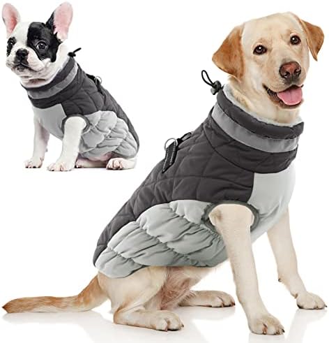 dog jackets