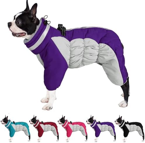 dog jackets