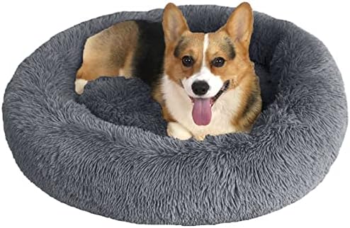 dog beds