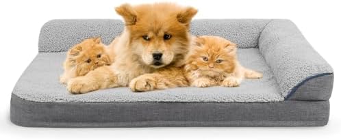 dog beds