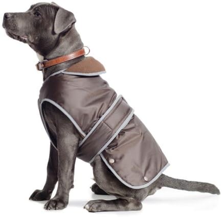 dog jackets