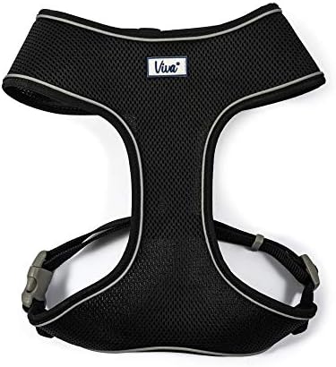 dog harness