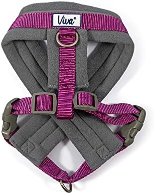 dog harness